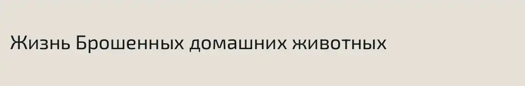 Жизнь Брошенных домашних животных